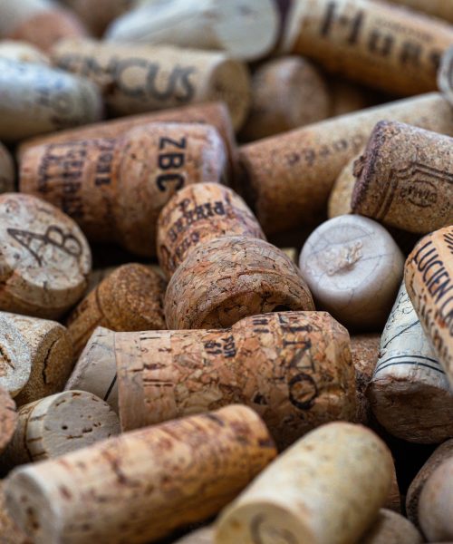 wein-degustation-abend-event-bad-toelz-wolfratshausen